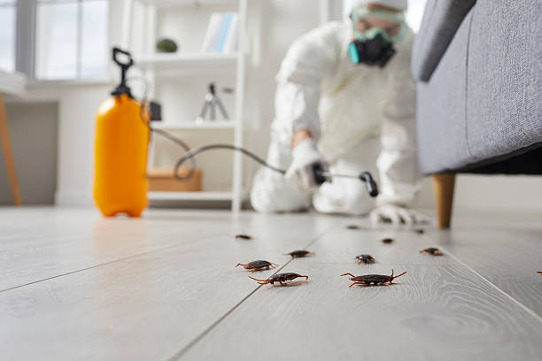 Post-Treatment Bed Bug Interceptor Monitoring in Grundy Center
