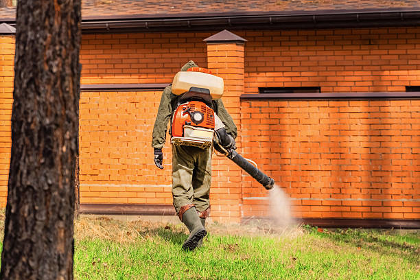 Bed Bug Clearance Verification and Documentation in Grundy Center